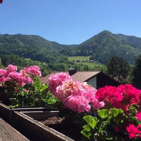 Ferienwohnungen Gaestehaus Sonnenkreis Ruhpolding Εξωτερικό φωτογραφία