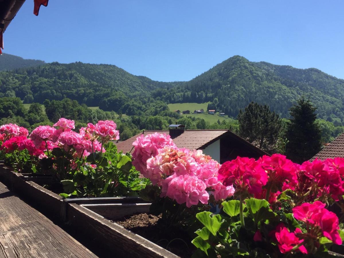 Ferienwohnungen Gaestehaus Sonnenkreis Ruhpolding Εξωτερικό φωτογραφία